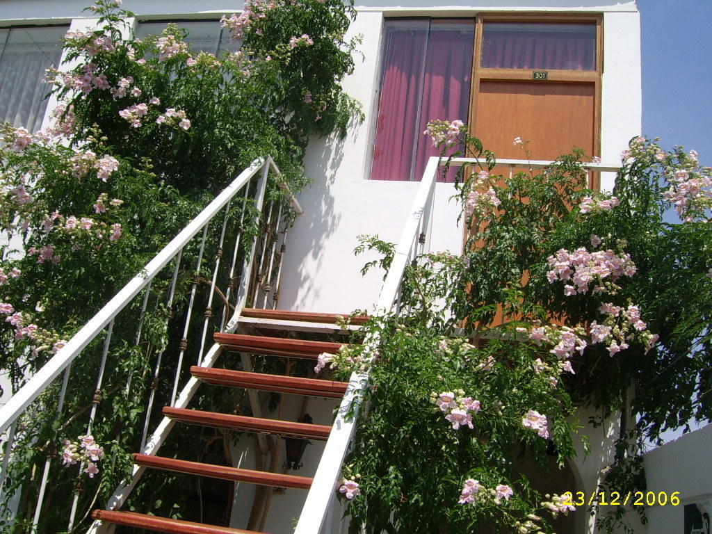 Hostal Camiluz Наска Экстерьер фото
